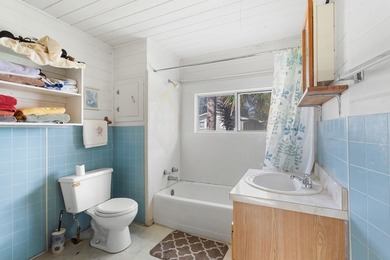 Charming old Florida cracker-style home on 4.2 acres in - photo 22