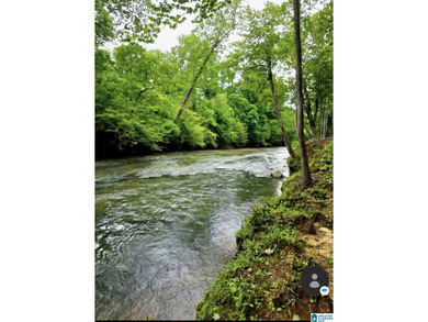 Approximately 3 acres on the North River in The Retreat at - photo 6