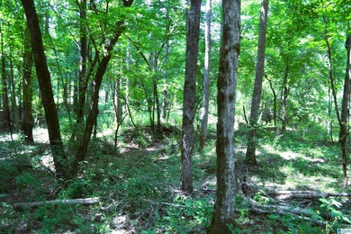 Approximately 3 acres on the North River in The Retreat at - photo 7