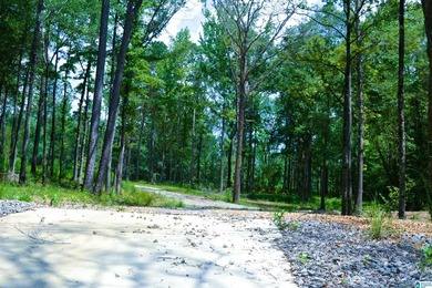 Approximately 3 acres on the North River in The Retreat at - photo 8