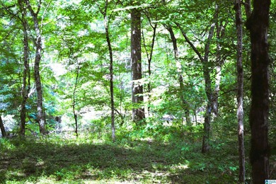 Approximately 3 acres on the North River in The Retreat at - photo 9