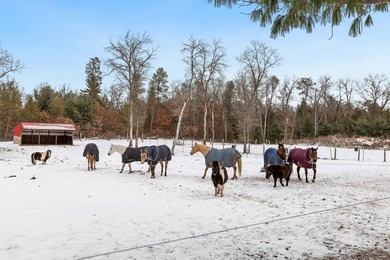 Spacious Country Ranch on 10 Acres near Castle Rock Lake! This - photo 33