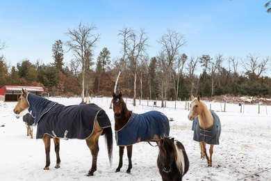Spacious Country Ranch on 10 Acres near Castle Rock Lake! This - photo 34