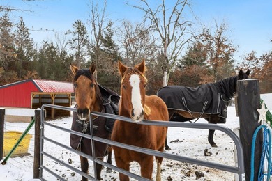 Spacious Country Ranch on 10 Acres near Castle Rock Lake! This - photo 35