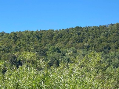 (private lake, pond, creek) Acreage For Sale in East Meredith New York