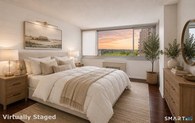 Welcome to Unit 7D at One Strawberry Hill Avenue, a 2 bedroom, 2 - photo 12