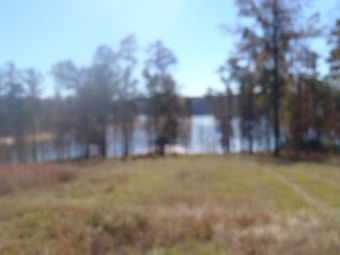 Lewis Smith Lake Lot For Sale in Linden Alabama