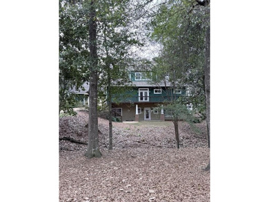 PRIVATE LAKEFRONT RETREAT WITH DEEP-WATER DOCK, GUEST APARTMENT - photo 9