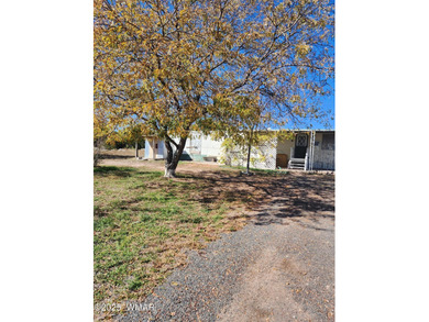 Concho Lake Home Sale Pending in Concho Arizona