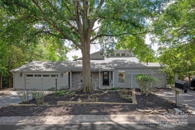 Lake Home For Sale in Tega Cay, South Carolina