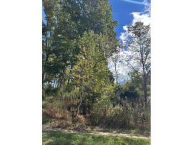Lake Lot For Sale in Johnson City, Tennessee
