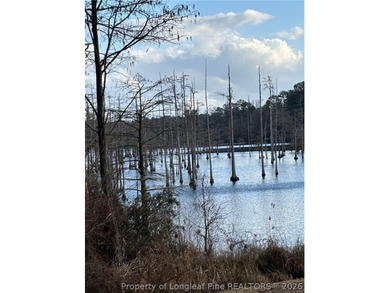 Sandy Run Lake Lot For Sale in Fayetteville North Carolina