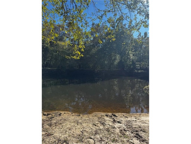 (private lake, pond, coastal) Acreage For Sale in Other Georgia