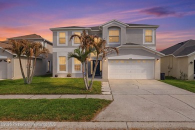 Lake Home For Sale in Odessa, Florida