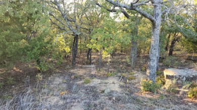 Lake Acreage For Sale in Sunset, Texas