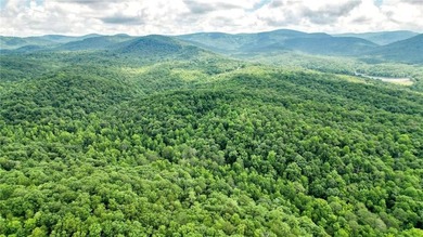 Beautiful 23.83 Acres of Wooded Land for Sale Discover your - photo 1