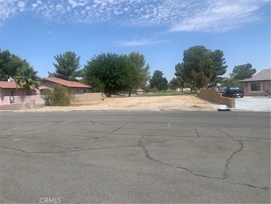 Silver Lakes Lot For Sale in Helendale California