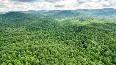 Beautiful 23.83 Acres of Wooded Land for Sale Discover your - photo 5