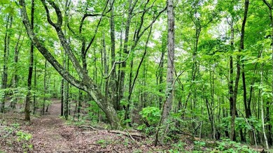 Beautiful 23.83 Acres of Wooded Land for Sale Discover your - photo 6
