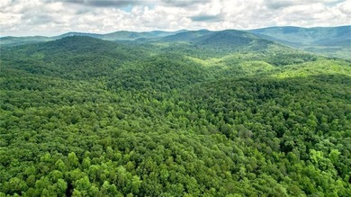 Beautiful 23.83 Acres of Wooded Land for Sale Discover your - photo 7