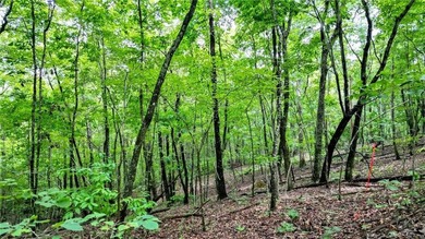 Beautiful 23.83 Acres of Wooded Land for Sale Discover your - photo 8