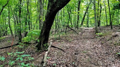 Beautiful 23.83 Acres of Wooded Land for Sale Discover your - photo 9