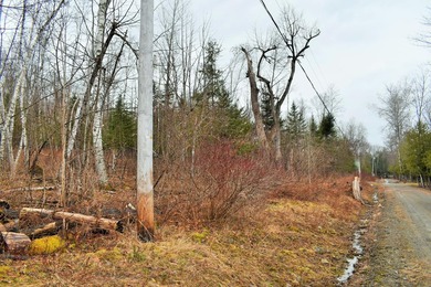 Exceptional Find! Are you looking for a water front and acreage - photo 12