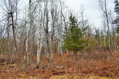 Exceptional Find! Are you looking for a water front and acreage - photo 13