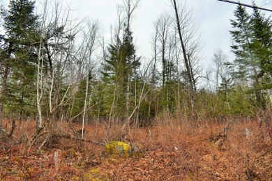 Exceptional Find! Are you looking for a water front and acreage - photo 14