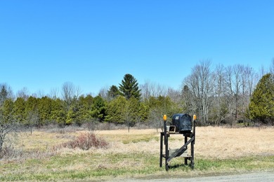Exceptional Find! Are you looking for a water front and acreage - photo 17