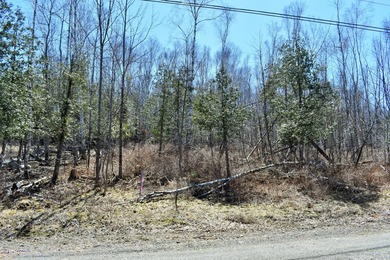 Exceptional Find! Are you looking for a water front and acreage - photo 19