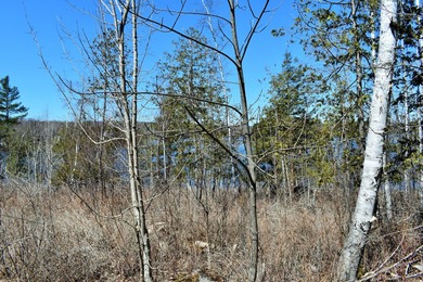 Exceptional Find! Are you looking for a water front and acreage - photo 20