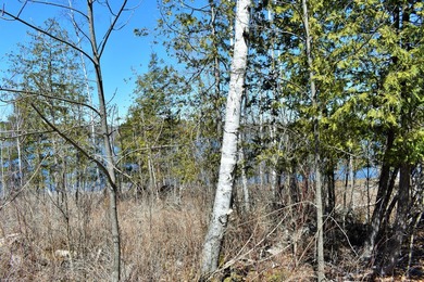 Exceptional Find! Are you looking for a water front and acreage - photo 21