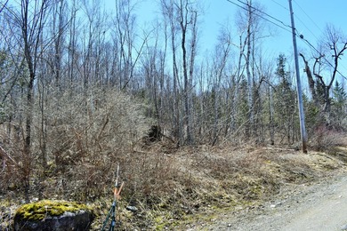 Exceptional Find! Are you looking for a water front and acreage - photo 22