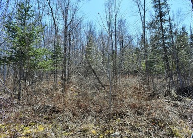 Exceptional Find! Are you looking for a water front and acreage - photo 23