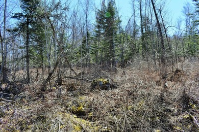 Exceptional Find! Are you looking for a water front and acreage - photo 24