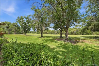 Situated on an elevated 0.34-acre lot overlooking the 13th hole - photo 30