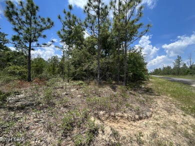 Blue Homestead Lake  Lot For Sale in Chipley Florida
