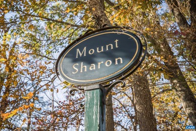 Nestled on 77 acres in the Virginia countryside, Mount Sharon - photo 2
