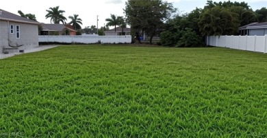 Cape Coral Lakes Area Lot Sale Pending in Cape Coral Florida