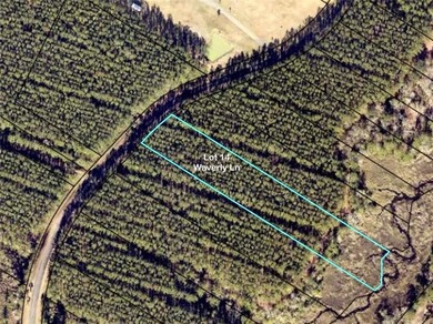 (private lake, pond, creek) Lot For Sale in White Oak Georgia