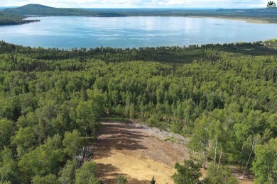 Lake Lot For Sale in Salcha, Alaska