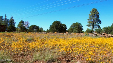 Show Low Lake Lot For Sale in Lakeside Arizona
