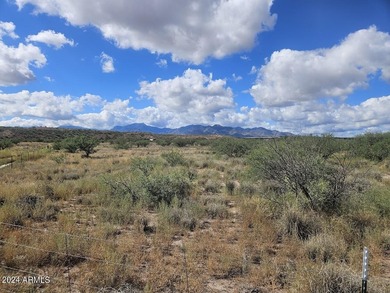 (private lake, pond, creek) Acreage For Sale in Huachuca City Arizona
