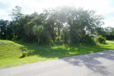 Residential wooded Lot for sale. Well develop area with other - photo 16