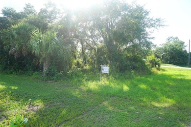Residential wooded Lot for sale. Well develop area with other - photo 17
