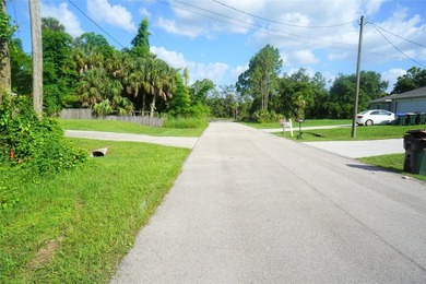 Residential wooded Lot for sale. Well develop area with other - photo 18