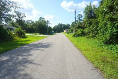 Residential wooded Lot for sale. Well develop area with other - photo 19