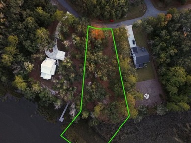 Lake Lot For Sale in Waverly, Georgia