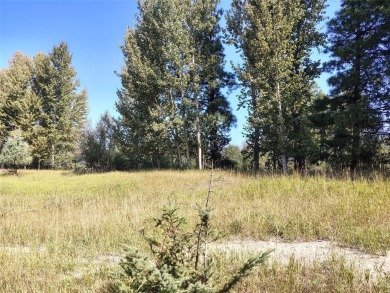 Lake Acreage For Sale in Kalispell, Montana